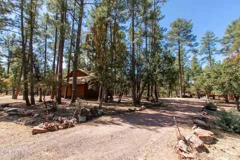 Other - 3622 N Mistletoe Dr, Pine, AZ 85544 photo 18 of 26