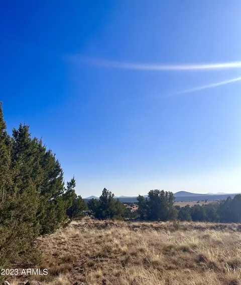 14 8249 County Rd #038, Concho, AZ 85924