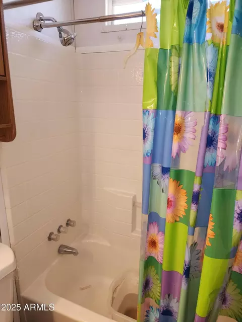 412 E Barrel Cactus Ln, Florence, AZ 85132 photo 34