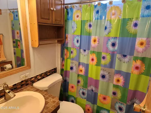 412 E Barrel Cactus Ln, Florence, AZ 85132 photo 32