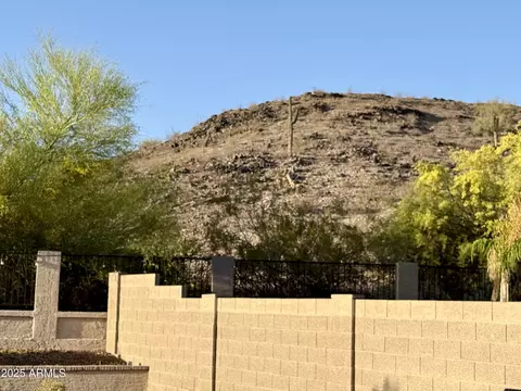 4028 E Mountain Sage Dr, Phoenix, AZ 85044 photo 40