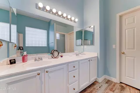 Bath - 329 S Marin Dr, Gilbert, AZ 85296 photo 1 of 6