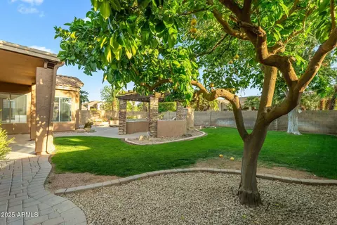 Exterior - 441 E Palo Brea Ct, Gilbert, AZ 85296 photo 11 of 12