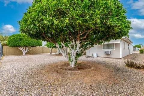 9045 Elman Ave, Mesa, AZ 85208 photo 27