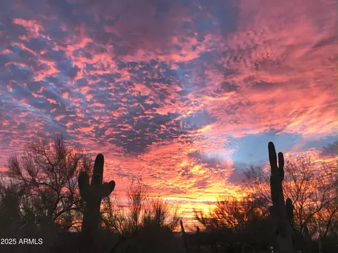 Other - 8703 E Nora St, Mesa, AZ 85207 photo 2 of 6