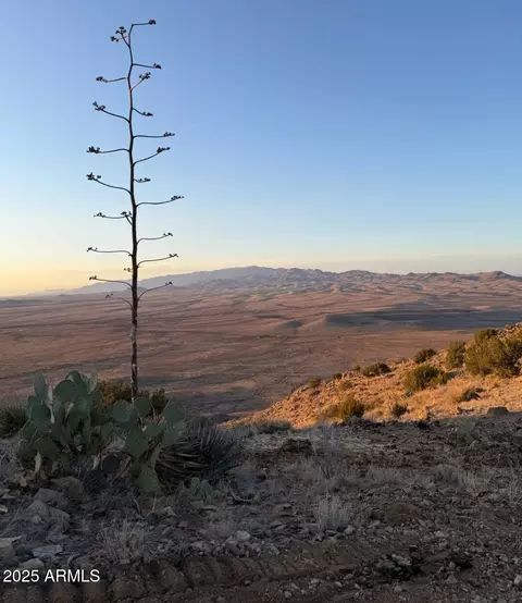 View/Area - 4030 E Sidewinder Rd, Willcox, AZ 85643 photo 1 of 2