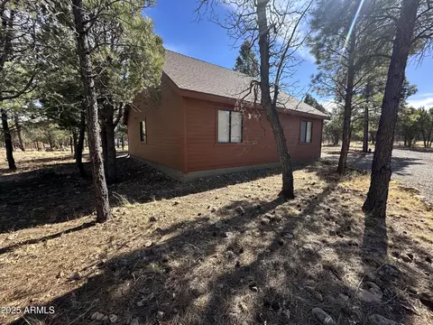 Other - 3947 Apache Dr, Happy Jack, AZ 86024 photo 30 of 38