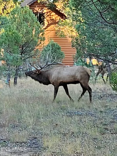 Other - 3947 Apache Dr, Happy Jack, AZ 86024 photo 34 of 38