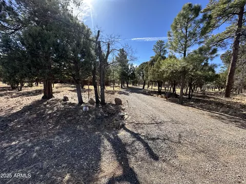 Other - 3947 Apache Dr, Happy Jack, AZ 86024 photo 33 of 38