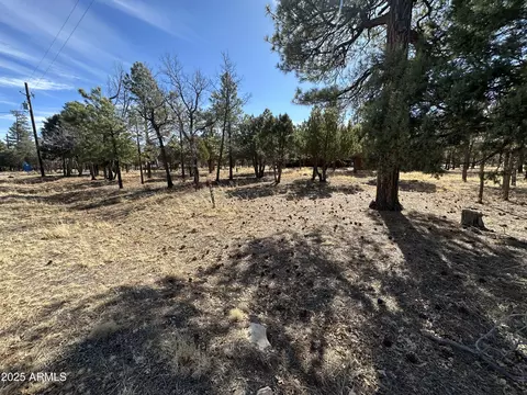 Other - 3947 Apache Dr, Happy Jack, AZ 86024 photo 31 of 38