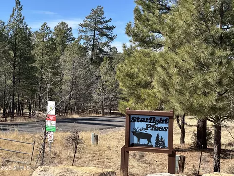 Other - 3947 Apache Dr, Happy Jack, AZ 86024 photo 37 of 38