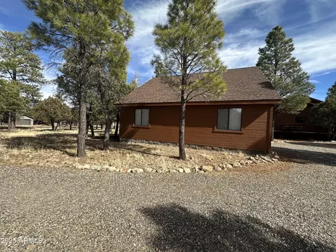 Other - 3947 Apache Dr, Happy Jack, AZ 86024 photo 7 of 38