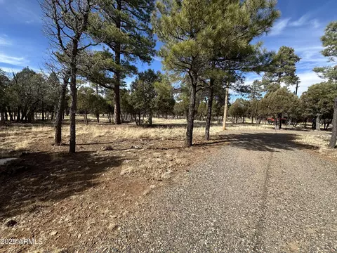 Other - 3947 Apache Dr, Happy Jack, AZ 86024 photo 8 of 38