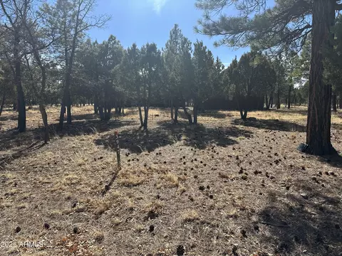 Other - 3947 Apache Dr, Happy Jack, AZ 86024 photo 35 of 38
