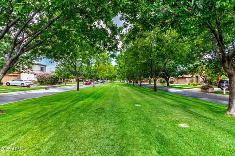 Other - 4368 E Cullumber St, Gilbert, AZ 85234 photo 18 of 19