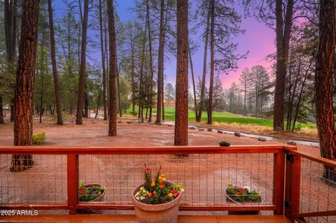 2519 E Scarlet Bugler Cir, Payson, AZ 85541 photo 53