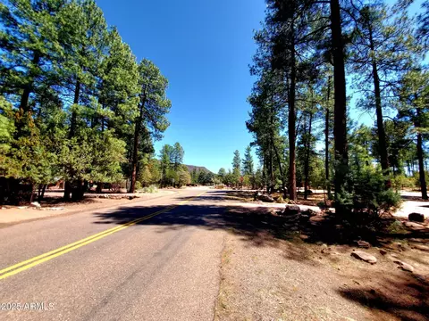 87 N Mistletoe -- #87, Pine, AZ 85544