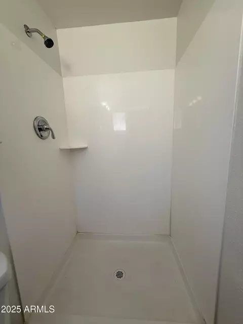 Bath - 2401 W Weldon Ave, Phoenix, AZ 85015 photo 5 of 6