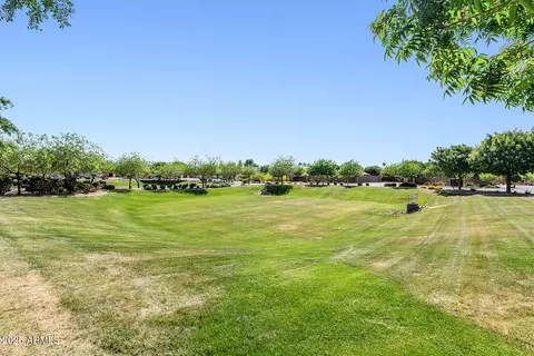 Other - 3648 E Fargo St, Mesa, AZ 85205 photo 14 of 14