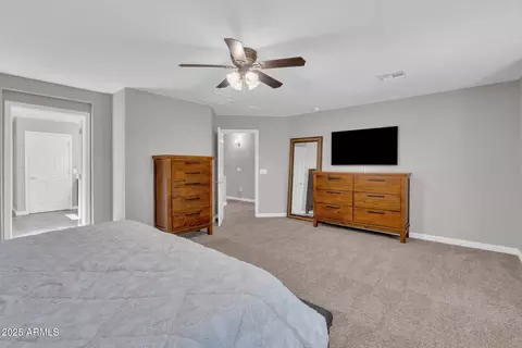 12124 E Domnitch Dr, Vail, AZ 85641 photo 53