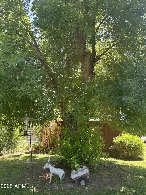 Other - 313 E 15th St, Tempe, AZ 85281 photo 4 of 6