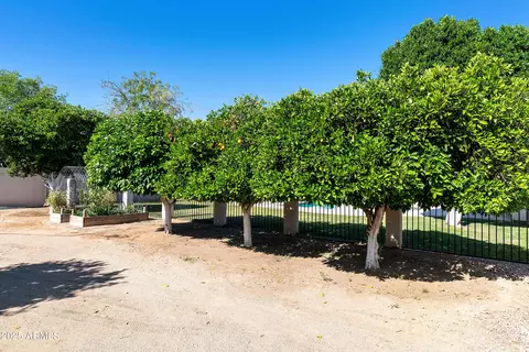 Exterior - 541 E Spur Ave, Gilbert, AZ 85296 photo 10 of 10