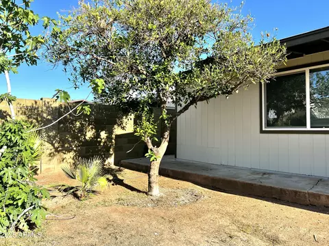 Exterior - 344 E Jacaranda St, Mesa, AZ 85201 photo 5 of 7