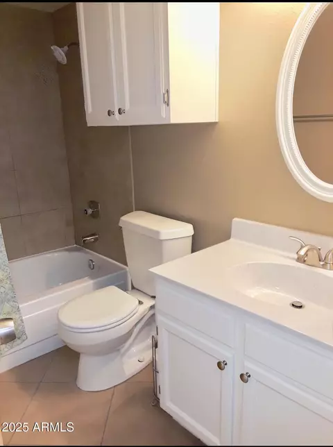 Bath - 30 E Brown Rd #2065, Mesa, AZ 85201 photo 2 of 2
