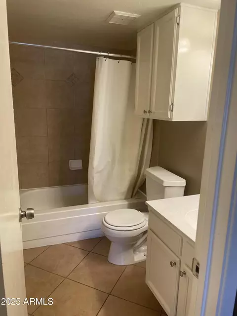 Bath - 30 E Brown Rd #2065, Mesa, AZ 85201 photo 1 of 2