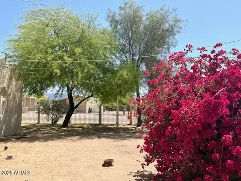 896 S Cedar Dr, Apache Junction, AZ 85120 photo 18