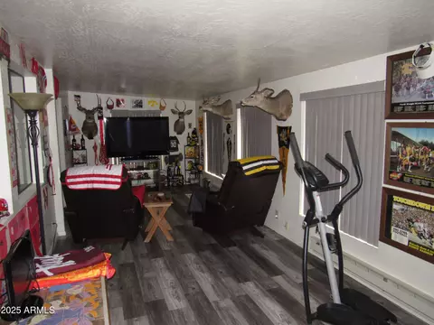 1116 W Crestview Dr, Payson, AZ 85541 photo 20