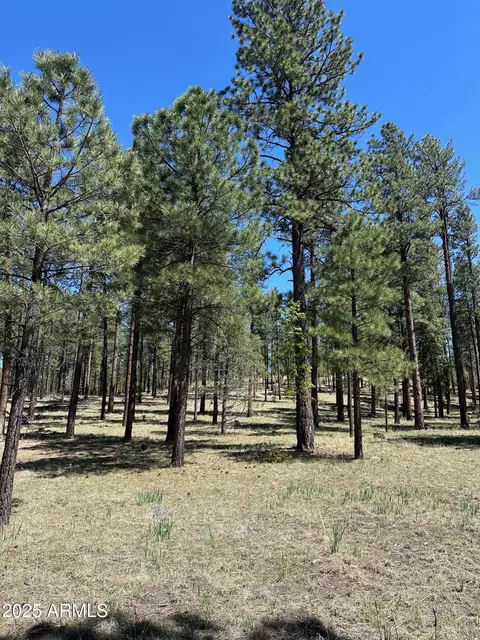 2184 N Highway 180 Xrds #101-46-020N, Alpine, AZ 85920