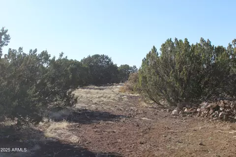 8588 Kaibab Ln #'-', Show Low, AZ 85901