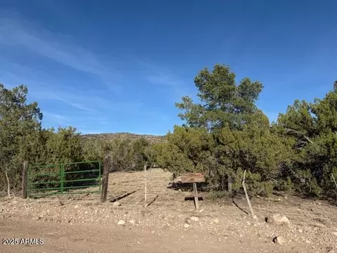 395 Nn Kokopelli Trl #732, Seligman, AZ 86337