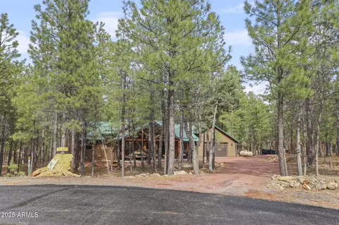 4101 Denver Cir, Happy Jack, AZ 86024