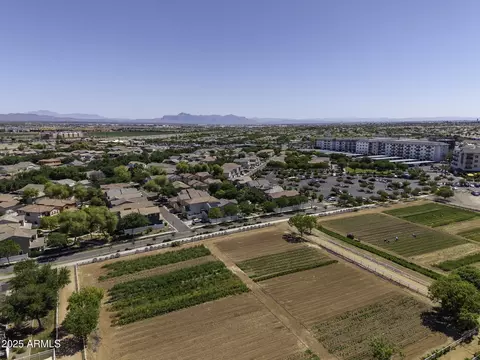 View/Area - 3065 E Tamarisk St, Gilbert, AZ 85296 photo 20 of 32