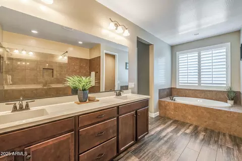 Bath - 10539 E Corbin Ave, Mesa, AZ 85212 photo 4 of 6