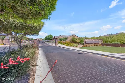 View/Area - 2826 E Bellflower Dr, Gilbert, AZ 85298 photo 7 of 8