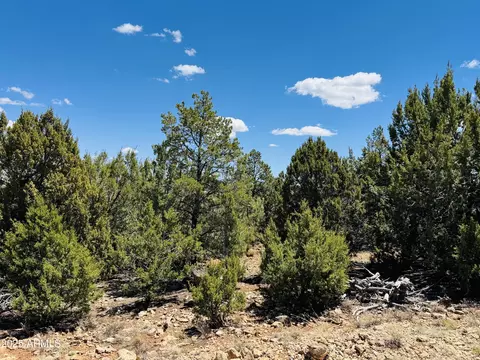 3585 Meadow Wood Dr #125, Happy Jack, AZ 86024