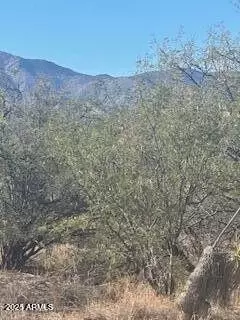 597 E Wildcat Ln #1, Huachuca City, AZ 85616