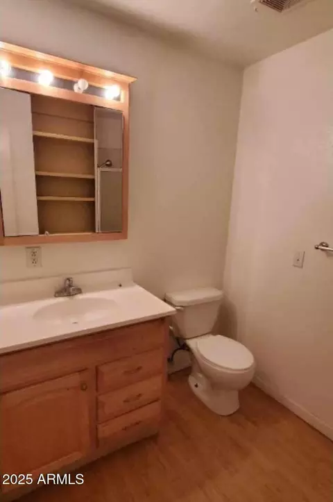 Bath - 1138 E 2nd St, Mesa, AZ 85203 photo 1 of 2