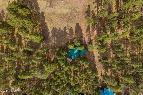 7 Cr 2312 --, Alpine, AZ 85920 photo 37