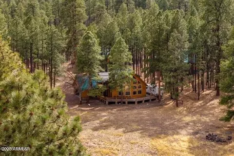 7 Cr 2312 --, Alpine, AZ 85920 photo 36
