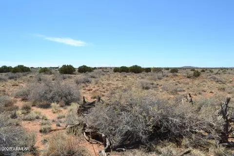 lot020 E G E 24th N St #020G, Snowflake, AZ 85937