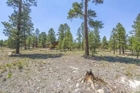 2906 Durango Dr #16, Happy Jack, AZ 86024