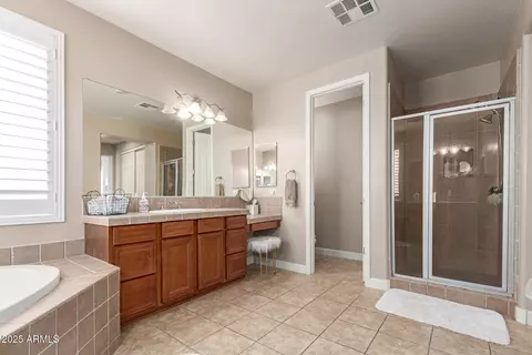 Bath - 3308 E Jasper Dr, Gilbert, AZ 85296 photo 3 of 5
