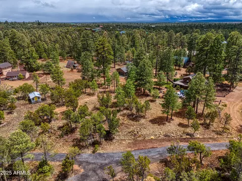 3325 Ox Bow Bend Rd #396, Overgaard, AZ 85933 photo 4
