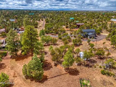 3325 Ox Bow Bend Rd #396, Overgaard, AZ 85933 photo 6