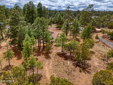3325 Ox Bow Bend Rd #396, Overgaard, AZ 85933 photo 3