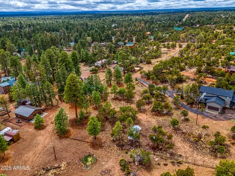 3325 Ox Bow Bend Rd #396, Overgaard, AZ 85933 photo 7